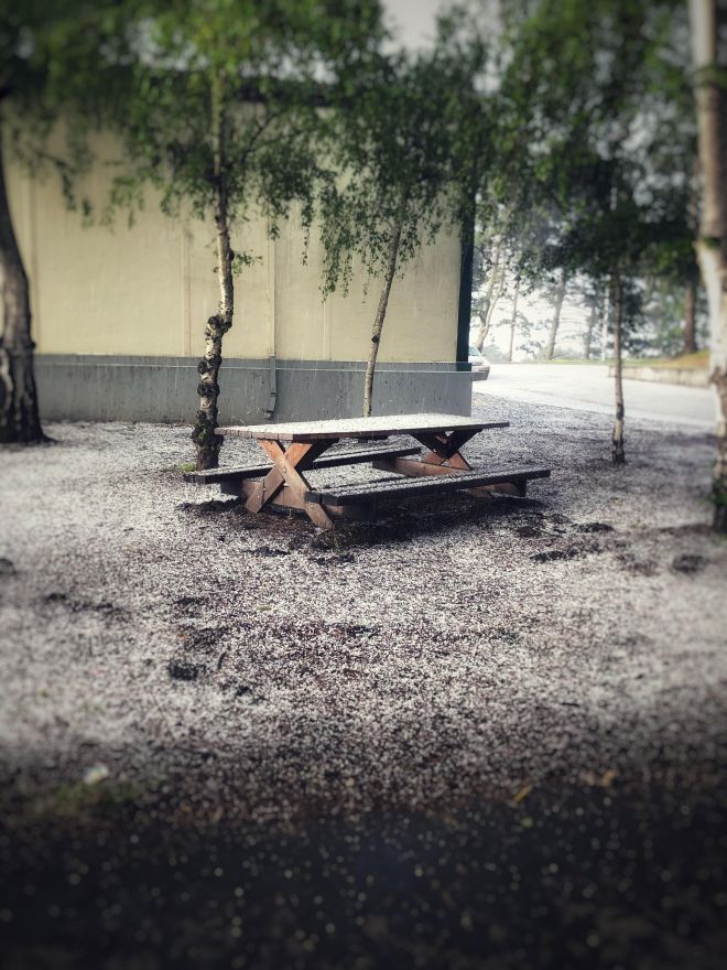 3rd RUNNER UP antonio