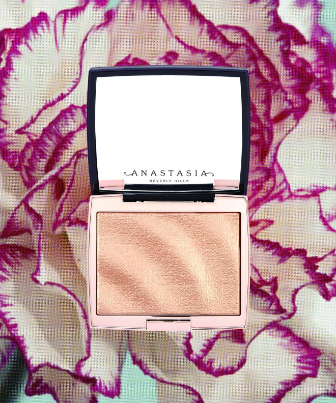 CYMK anastasia highlighter on floral