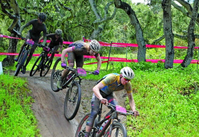 CYMK berto on noahs tail